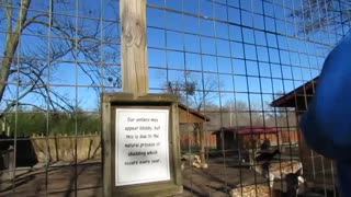 ZOO TRIP