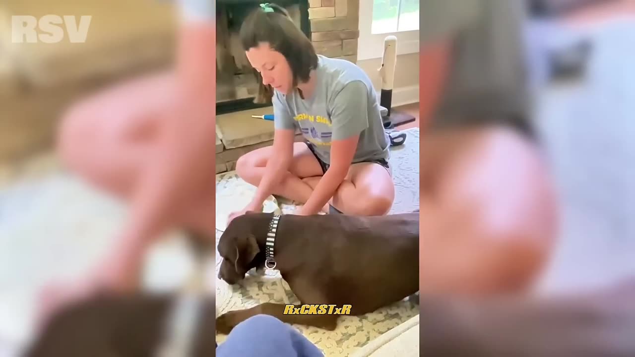 1 Hour of Funniest Animals 2023 😍 New Funny Cats and Dogs Videos 😹🐶 Part 10