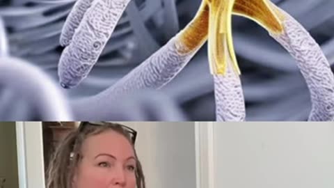 ⛔️A MUST WATCH ⛔️SYNTHETIC ORGANISMS IN OUR BLOOD
