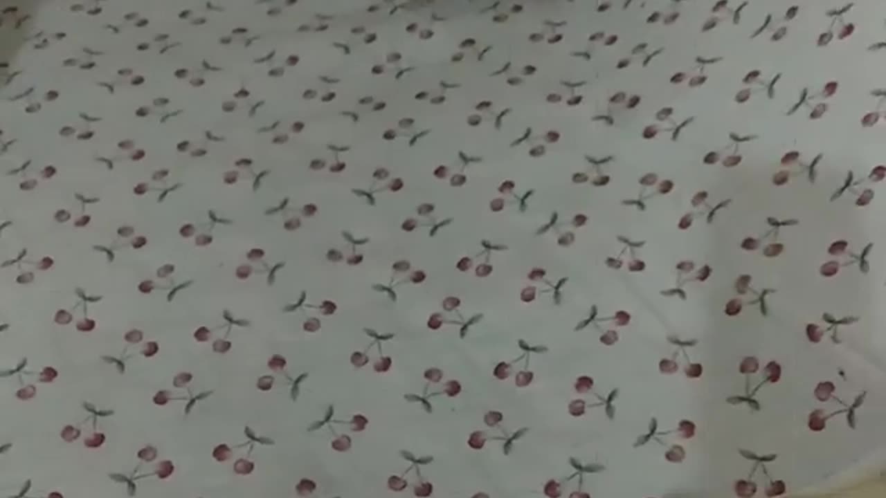 Kitten videos for kids , Kitty fun video , Catling Funny Video For kids , Cat Video fo