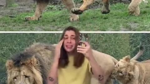 Animal facts _ TikTok
