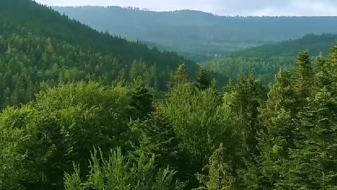 Motivational Video #13 #shorts #viral #viralshorts #trending #motivation #inspiration #video