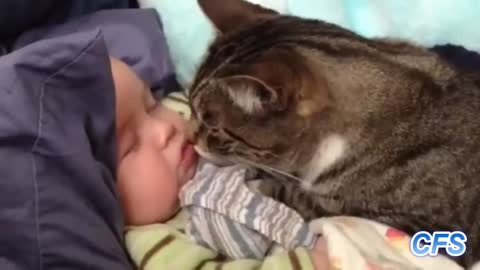 Cat loves babies