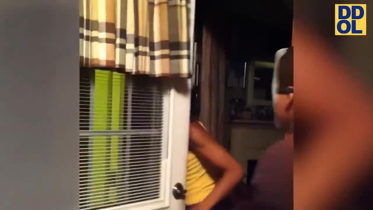 Where did you get a spider that big
