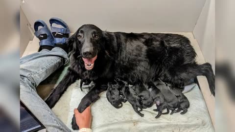 Billy and Louis Babies Have Arrived!