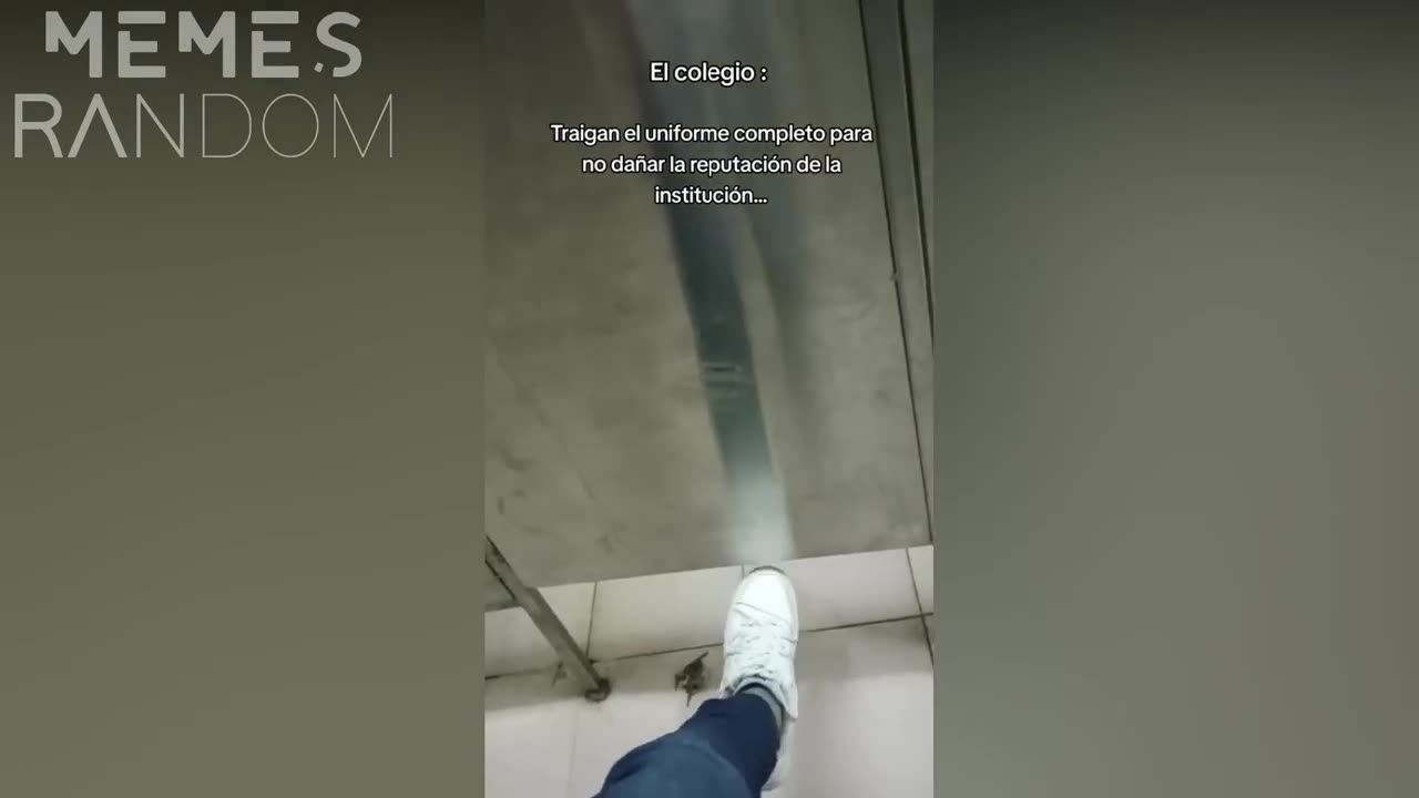 offensive memes that if ylyl v24