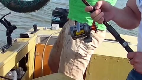 Reel Fail ! Its almost springer season!