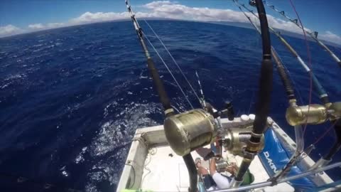 Hawaii - Fishing trip4
