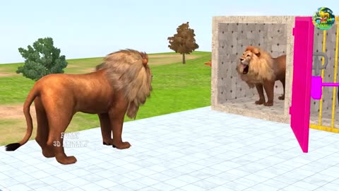 ANIMAL VIDEO
