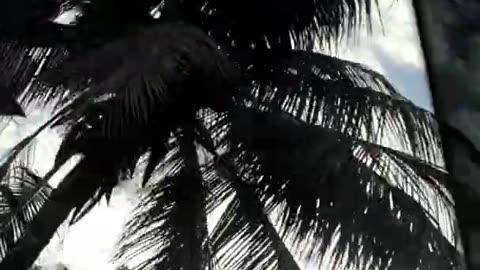 Mera jeena hai -song