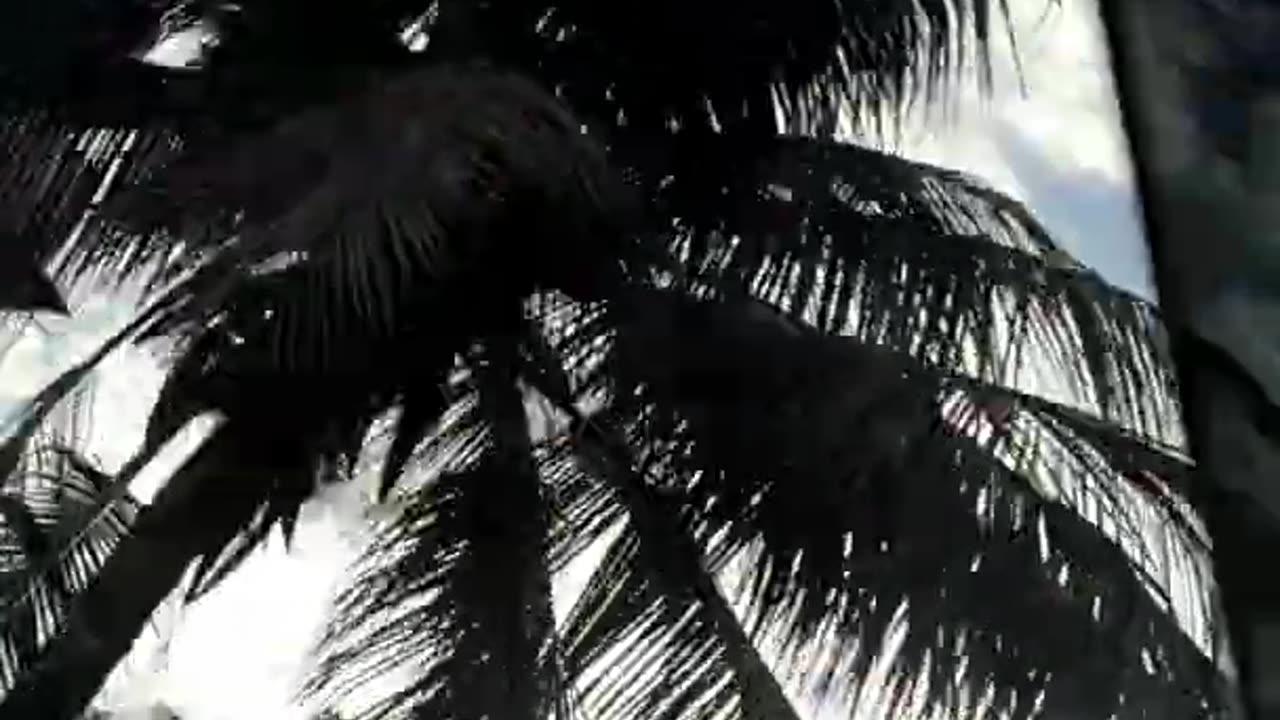Mera jeena hai -song