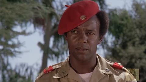 The Black Gestapo a.k.a Ghetto Warriors 1975