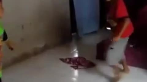 Little fighters
