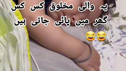 Funny baby video funny baby clip