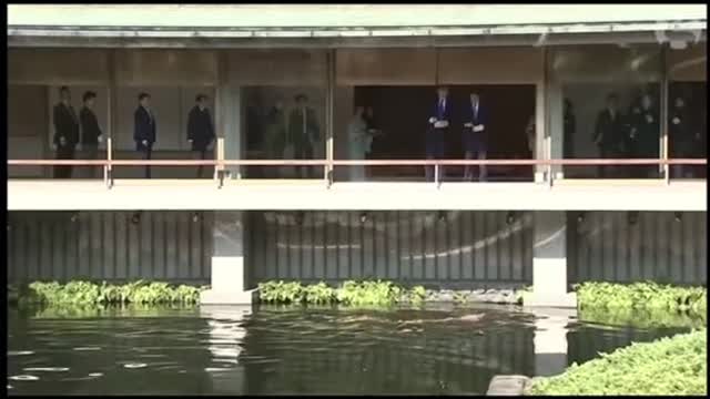 Trump Fish Food into the Water