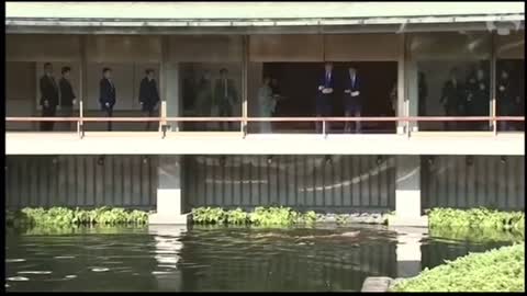 Trump Fish Food into the Water