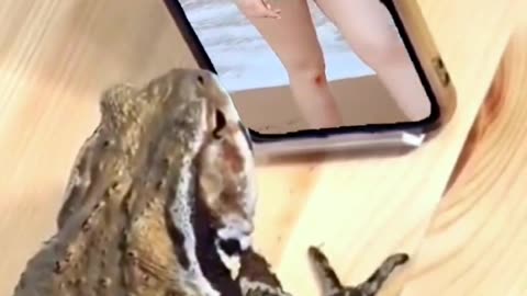 videos 2023,best funny videos 2023,fun 😀😂 #DILSHAD #shorts #short #youtubeshorts
