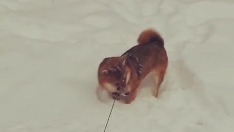 You can't stand some things, but you should learn to accept them if you can't change them.