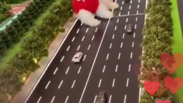Puppy petdog