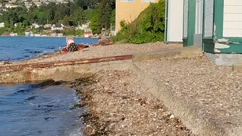 Best of Washington Seattle 2023