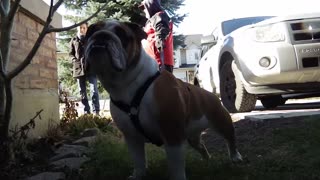 REST IN PEACE BUDDY