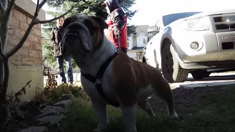REST IN PEACE BUDDY