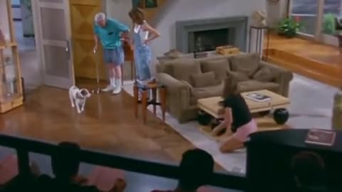 dog story..