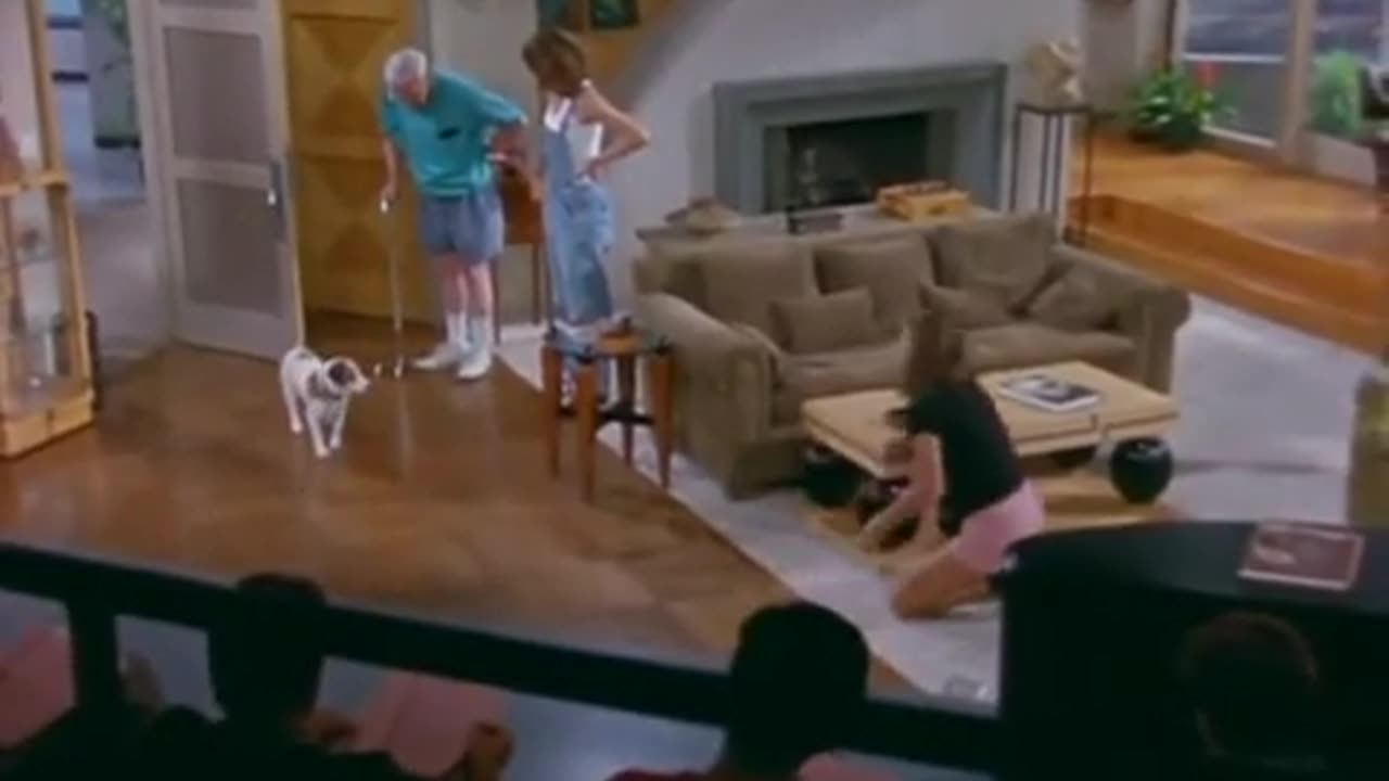 dog story..