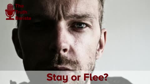 Stay or Flee?