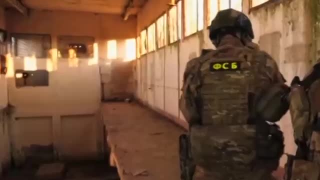 Hideouts of Ukrainian saboteurs with foreign weapons found in LNR