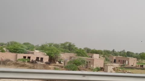 Beauty Of South Punjab Rohi