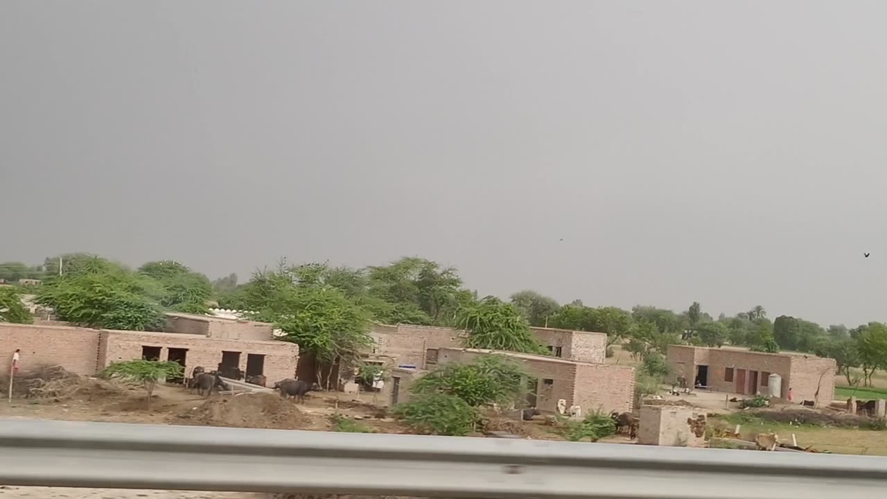 Beauty Of South Punjab Rohi
