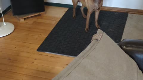 Breakfast time