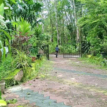 Learn to Ride a cycling kids