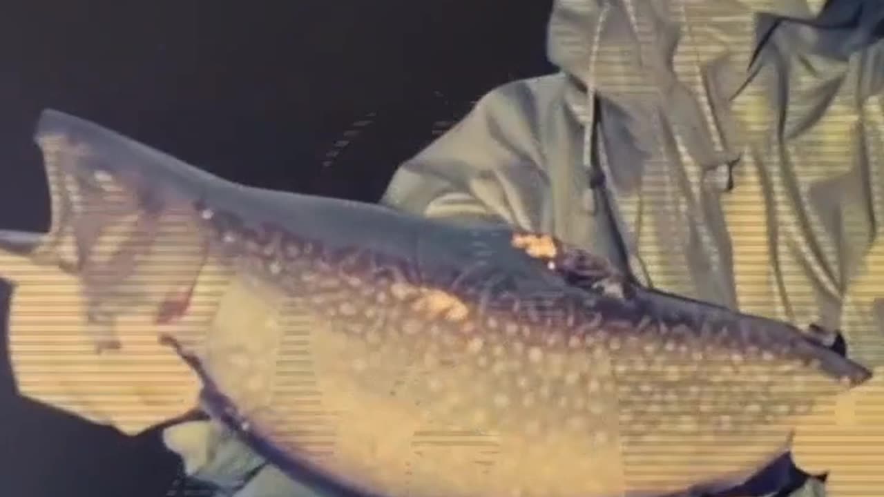 Netanyahu says Israelis are from hell!