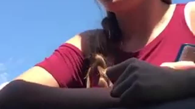 Girl Tries to Buy Blinker Fluid at Automotive Parts Store - 985748