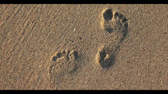 DECEMBER 29 Meditate on the Mysteries
