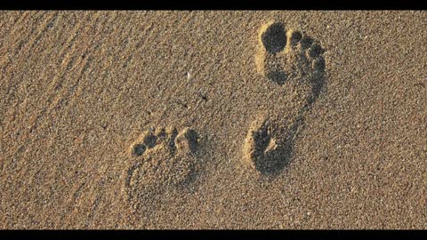 DECEMBER 29 Meditate on the Mysteries