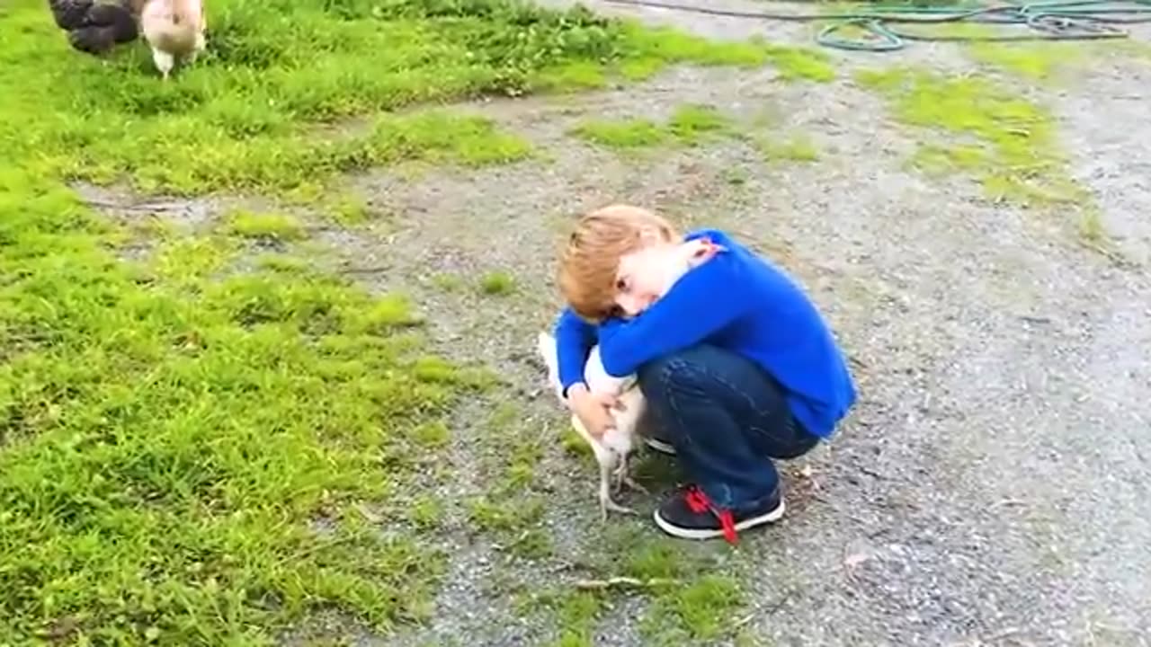 Animals reunited with owners after years !!!