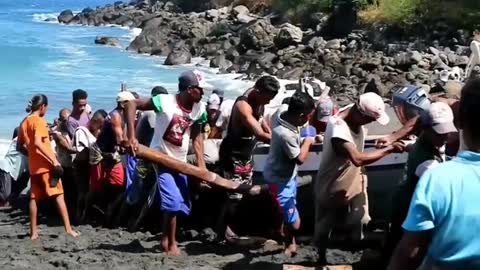 lamalera whaling village