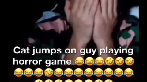 Laughter Galore