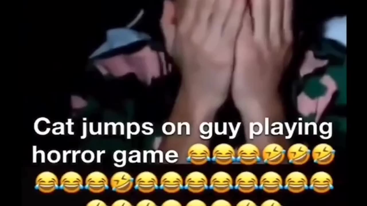 Laughter Galore
