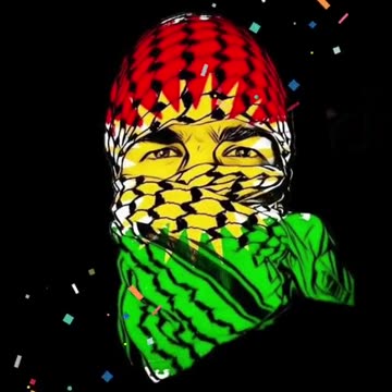 CAPE TOWN PAINT PALESTINIAN FLAG ONTO BLOCK OF FLATS