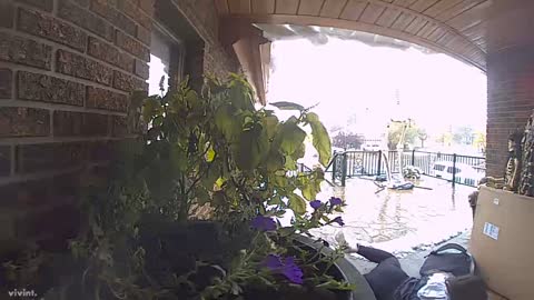 Girl Slips While Swatting at Snow