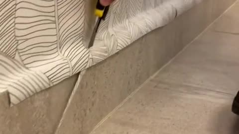 #papeltapiz