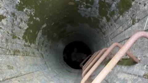 I accidentally found something quite terrifying while out on a hike.