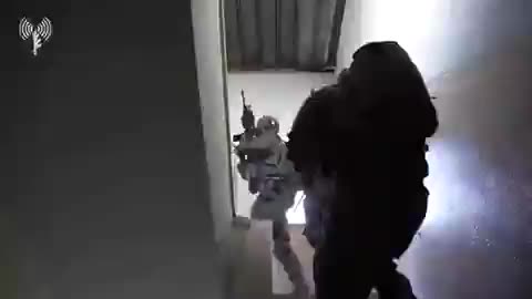 TIGERS FIGHTING WITH THE PIG ENTERED IN THE POULATION OF GAZA