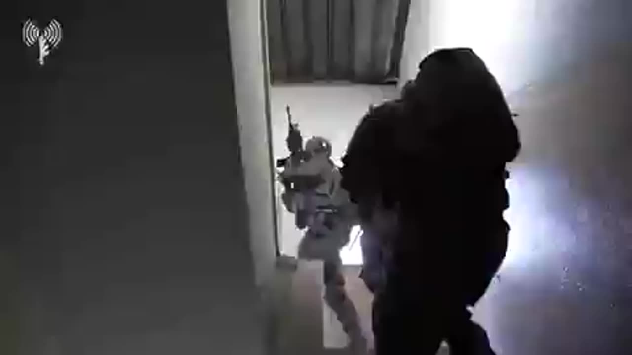 TIGERS FIGHTING WITH THE PIG ENTERED IN THE POULATION OF GAZA