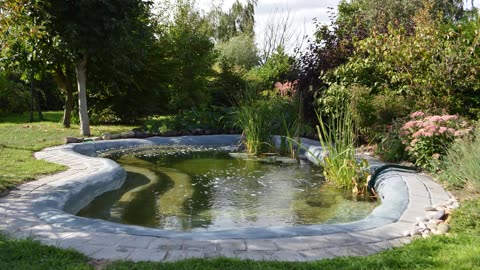 Bassin d'eau - diy