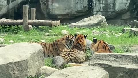 You were supposed not to fight